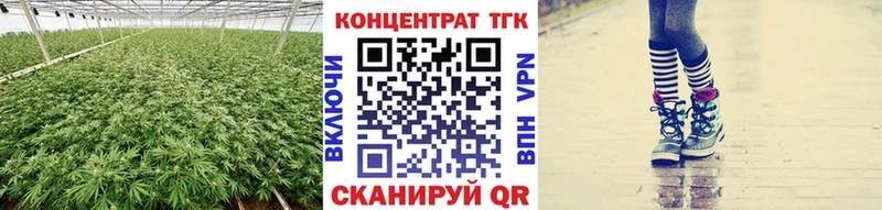 ТГК гашишное масло Купить Неман