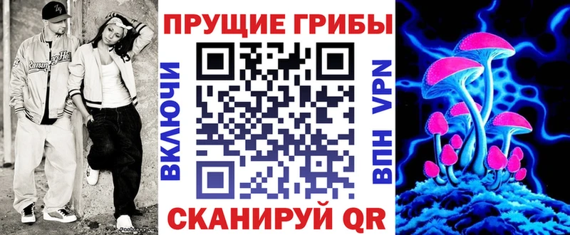 Псилоцибиновые грибы Psilocybine cubensis  Купить закладки  Неман 